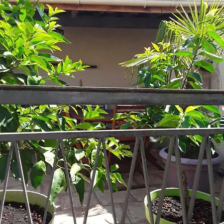 L'oasis